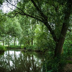 Dommel, Noord Brabant door Iryna Melnyk (bron: shutterstock.com)