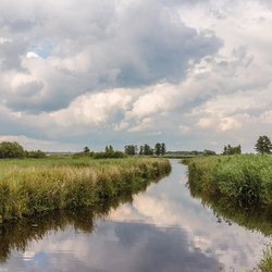 Nationaal Park Weerribben-Wieden door Agnes Monkelbaan (bron: Wikimedia Commons)