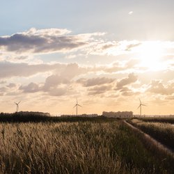 Landschap windmolens door Niels Bosman (Unsplash)