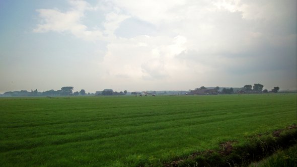 boerderijen in de polder flickr door E. Dronkert (bron: Flickr)