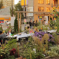 "Dining in the Davie Community Garden" (CC BY 2.0) by Geoff Peters 604