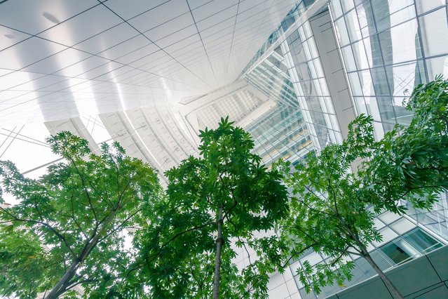 The National Library Singapore