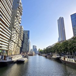 Haven in centrum Rotterdam door WiktorB (bron: Shutterstock)