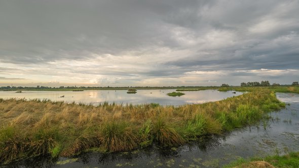 Waterberging landschap weiland