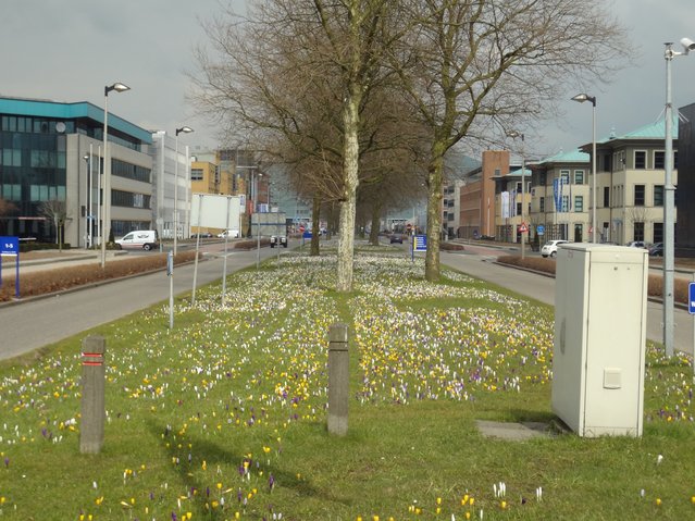 Rivium Boulevard in Capelle aan den Ijssel door Again Erick (bron: Wikimedia Commons)