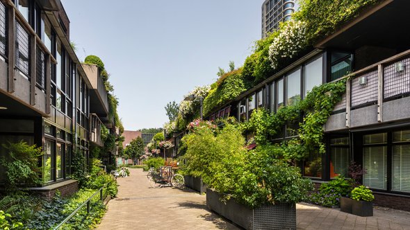 Prettige groene woonstraat in Eindhoven door Lea Rae (bron: shutterstock.com)