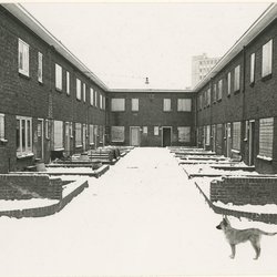 Winter in Zomerhof door Haags Gemeentearchief (bron: Haags Gemeentearchief)