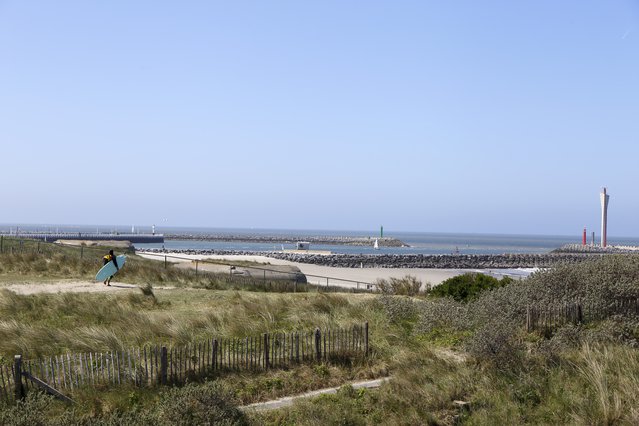 Duinen door Quirijn Kuchlein (bron: Quirijn Kuchlein)