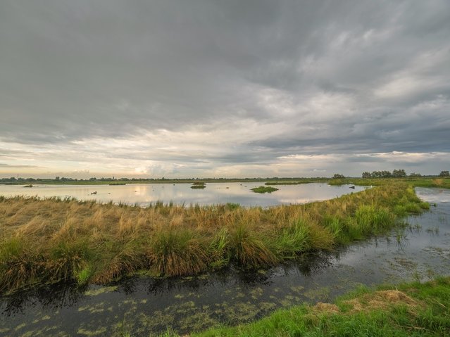 Waterberging 'Hooge Boezem' achter Haastrecht - Lopikerwaard door Frans Berkelaar (bron: Flickr)
