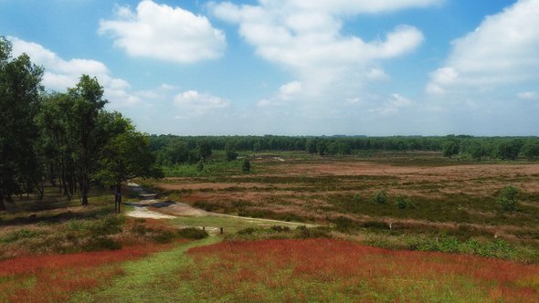 Landschap Nederland