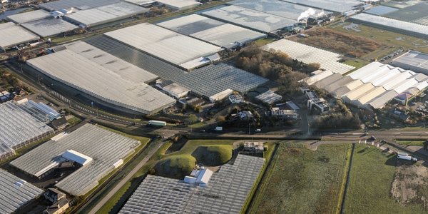 Luchtfoto kassen voor de tuinbouw in het Westland door T.W. van Urk (bron: Shutterstock)