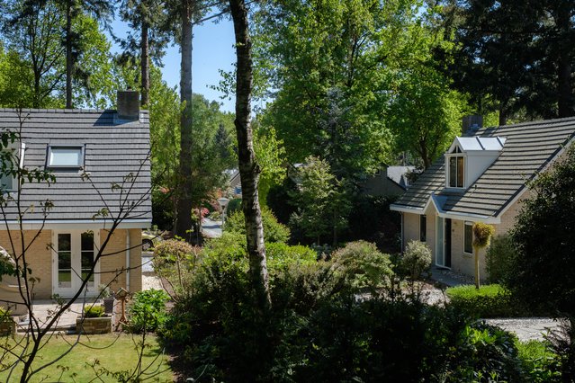 bungalows op park door Niek doup (bron: Boek: Vitale Vakantieparken als laboratorium voor transformatie)