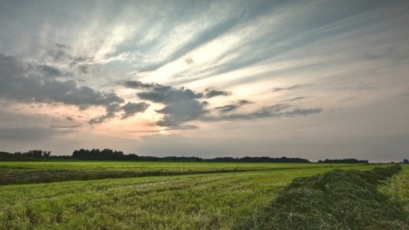 2015.08.06.De stad zuigt aan, maar zonder bouwen in het weiland komen we er niet(1)