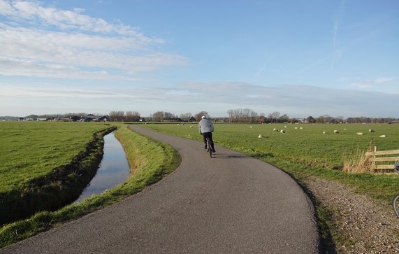 Egmondermeergebied door Thijs de Graaf (bron: shutterstock)