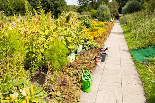 Moestuin Den Haag Zuidwest door Hesse de Jonge (bron: Hesse de Jonge)