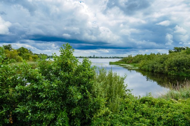 Beschermd gebied in de Oostelijke Vechtplassen door Samo451 (bron: Shutterstock)
