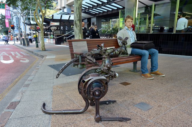 BRISBANE - SEP 25 2014: Young Australian Man looks at City Roos kangaroo sculpture. The design concept based on sharing space with Australia natives and conservation of its natural resources. door ChameleonsEye (bron: shutterstock)
