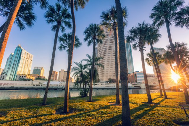 Downtown Tampa, Florida. door Henryk Sadura (bron: Shutterstock)