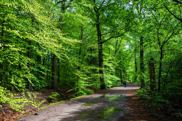 Landscape in a city park in Amersfoort, Netherlands door Gert-Jan van Vliet (bron: Shutterstock)