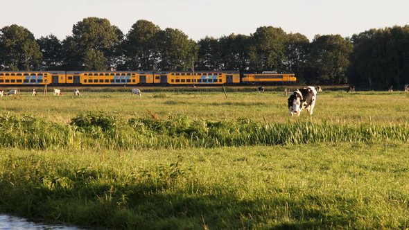 groen grondbeleid landelijk gebied