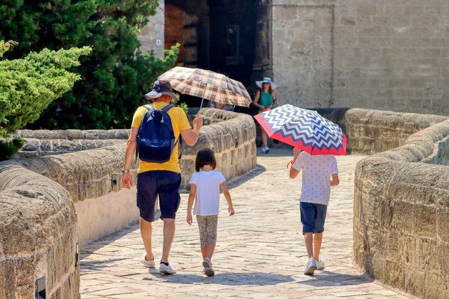 Warme zomerdag in Puglia door Massimo Todaro (bron: Shutterstock)