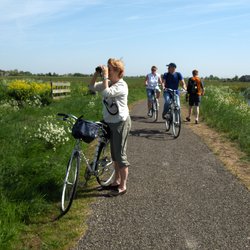 groen recreatie natuur fietsen