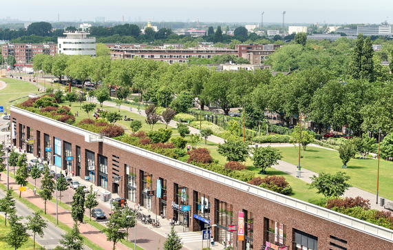 Dakpark Rotterdam door Frans Blok (bron: Shutterstock)