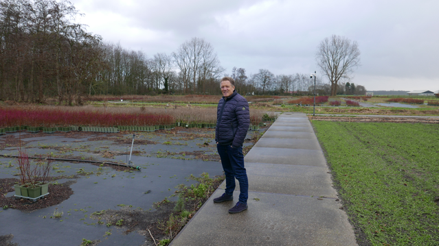 Vrijwilliger Eddo Velders tussen de ingezaaide winterrogge en potplanten van oude handelskwekerij bij Land van Ons in Wassenaar door Jaco Boer (bron: Gebiedsontwikkeling.nu)