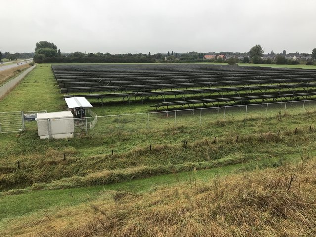 Zonneveld Elzenbos, Brummen, in 2021 gerealiseerd door Noël van Dooren (bron: Noël van Dooren)