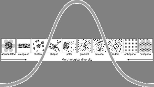 Diversifying environments through design - Afbeelding 2