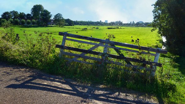 Polder