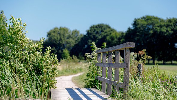 Groen Provincie Utrecht door Wut_Moppie (bron: shutterstock.com)