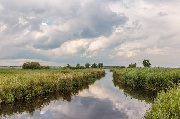 Nationaal Park Weerribben-Wieden door Agnes Monkelbaan (bron: Wikimedia Commons)