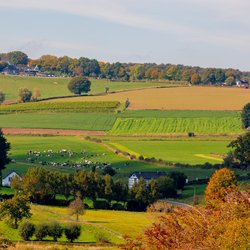 Herfstlandschap in Zuid-Limburg door Wut_Moppie (bron: Shutterstock)