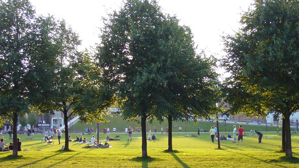 natuur in stad