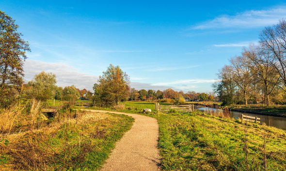 Picturesque Dutch landscape with a curved path in the Markdal nature reserve near the city of Breda, province of North Brabant. The photo was taken at the beginning of a sunny day in the autumn season door Ruud Morijn Photographer (bron: Shutterstock)