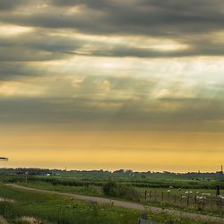 Nederland polder