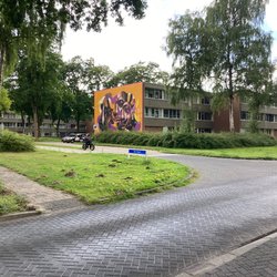 Emmerhout, Emmen door Teun van den Ende (bron: Teun van den Ende)