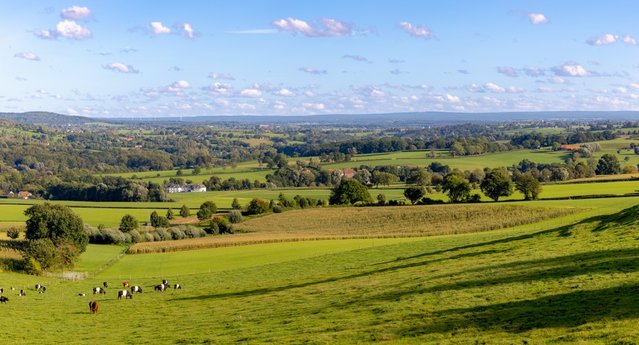 Heuvelachtig landschap in Zuid-Limburg door Wut_Moppie (bron: Shutterstock)