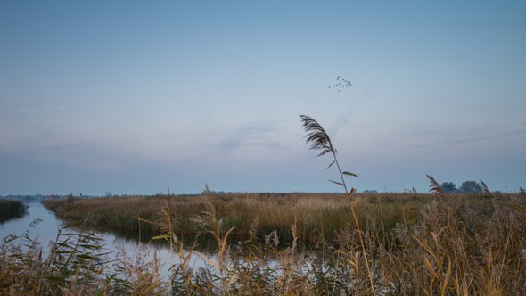 Volgermeerpolder door David Peperkamp (bron: Shutterstock)