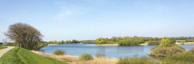 Uiterwaarden van de Waal bij Zaltbommel door Henriette V. (bron: shutterstock.com)