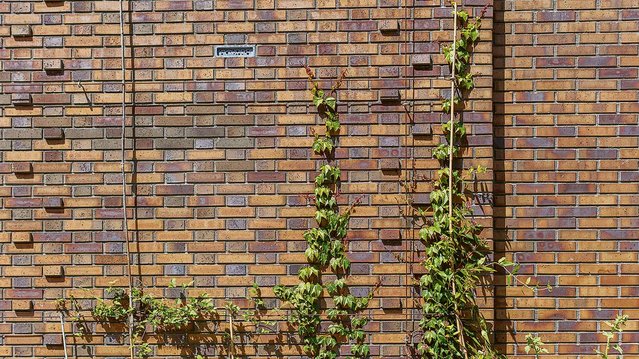 Slachthofhuis Haarlem door Reinier Bergsma (bron: BPD)