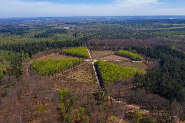 Utrechtse Heuvelrug door MPPhotograph (bron: Shutterstock)