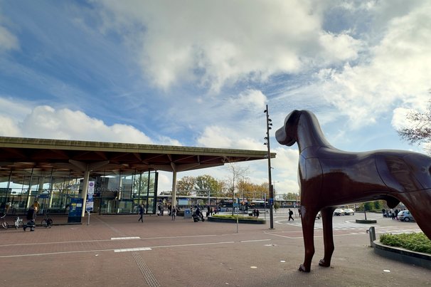 Mannes en station Assen door Kees de Graaf (bron: Kees de Graaf)