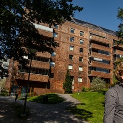 Voetgangers lopen langs huizen die strikt van hout zijn gemaakt en ontworpen in de wijk Sundbyberg genaamd Strandparken. door Alexanderstock23 (bron: Shutterstock)