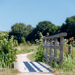 Groen Provincie Utrecht door Wut_Moppie (bron: shutterstock.com)