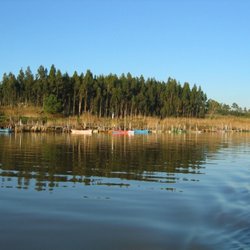 Managing multiple problems affecting lagoons in Europe - Afbeelding 4