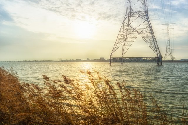 Elektriciteitspalen vlakbij Amsterdam door Julia700702 (bron: Shutterstock)