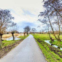 Polderlandschap door Photodigitaal.nl (bron: Shutterstock)