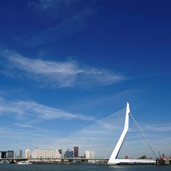 Erasmusbrug, Rotterdam door Eric Gevaert (bron: shutterstock.com)